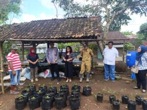 Merespon Perubahan Iklim dengan Pertanian Pangan, Desa Suci Jember Diapresiasi Kemenko Pangan