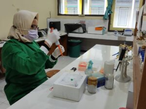 Angkat Potensi Laut Selatan Jember ke Kancah Global, UNEJ Bangga Luluskan Doktor Bioteknologi Pertama dengan Riset Pionir Antikanker